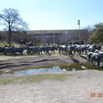 02-28-13 Dallas Officer Training 186