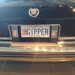 10246623_10203068551267887_7615758415183531193_n