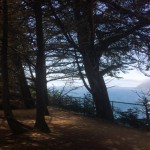 10351813_10203964455775935_9139768856910524606_n