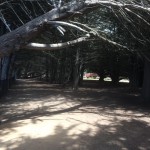 10363732_10203964454135894_6463619768197977875_n