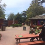 10419607_10203964457855987_1266804358449989278_n