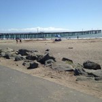 10628171_836556099722921_1703852593877929391_n