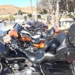 10689753_10204876798263927_9127468495873010_n