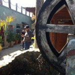 10690093_10204876797623911_5403216427313876414_n