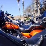 1526083_10204118536596864_4867496756260676159_n