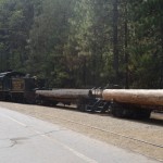 Sugarpine Railroad ride 9-13-14 057