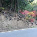 10392376_10202053520419584_588078352793115224_n