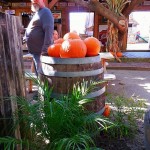 10409024_10202414780805391_3779817042714654212_n