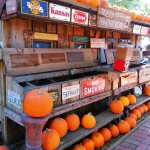 10424980_10202414783205451_8286421391197452196_n