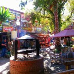 10458487_10202414782645437_2840290995457992850_n