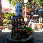 10711015_10202414780085373_102198822788703695_n