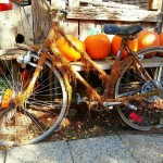 1391530_10202414784885493_8920577871333912281_n