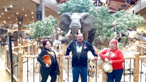 Pictures from Phone 245